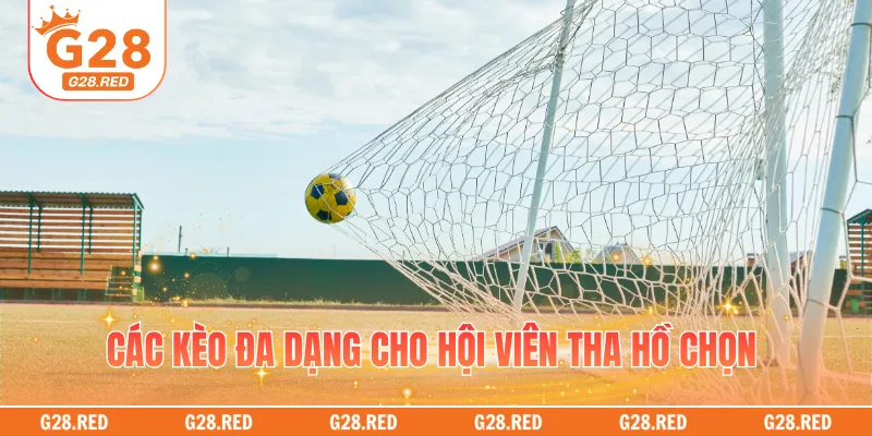 Các kèo đa dạng cho hội viên tha hồ chọn