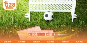 Cược Bóng Cỏ Là Gì – Khám Phá Mỏ Vàng Tiềm Năng 2026