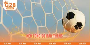 Kèo Tổng Số Bàn Thắng Là Gì? Cách Soi Kèo Chuẩn Xác Nhất