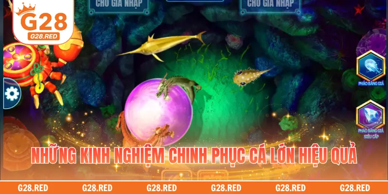 Những kinh nghiệm chinh phục cá lớn hiệu quả