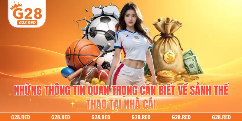 Những thông tin quan trọng cần biết về sảnh thể thao tại nhà cái