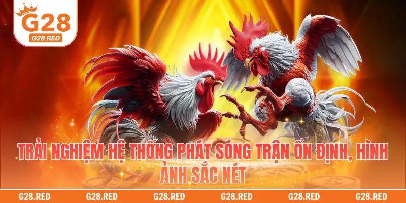 Trải nghiệm hệ thống phát sóng trận ổn định, hình ảnh sắc nét